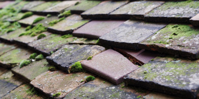 Upper Gravenhurst roof repair costs
